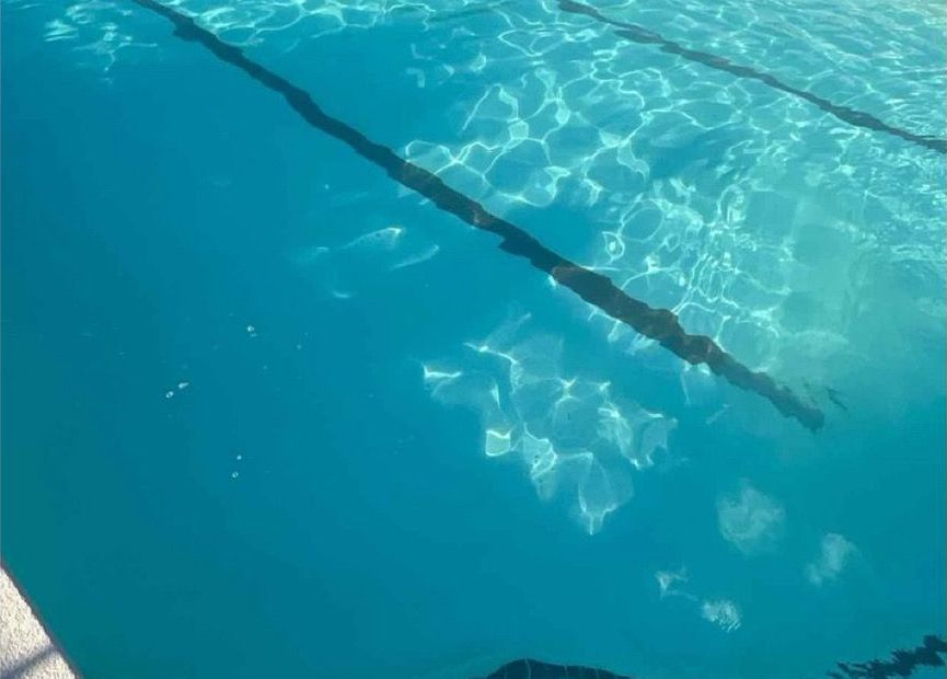 Community pool recovery after